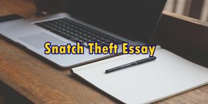 Snatch Theft Essay